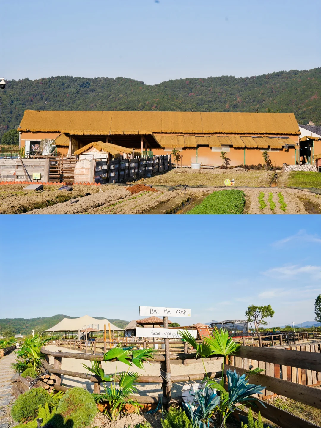 上虞秋日必冲🔥白马春晖文化园藏不住了