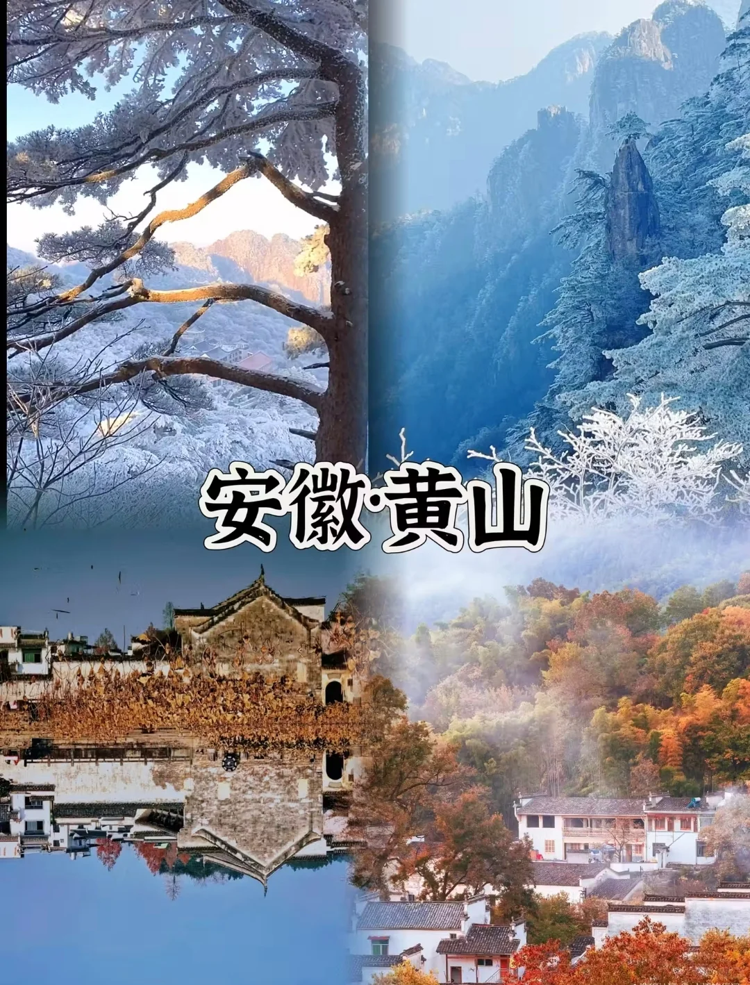 适合11~12月短途游!四个城市推荐!高铁直达!