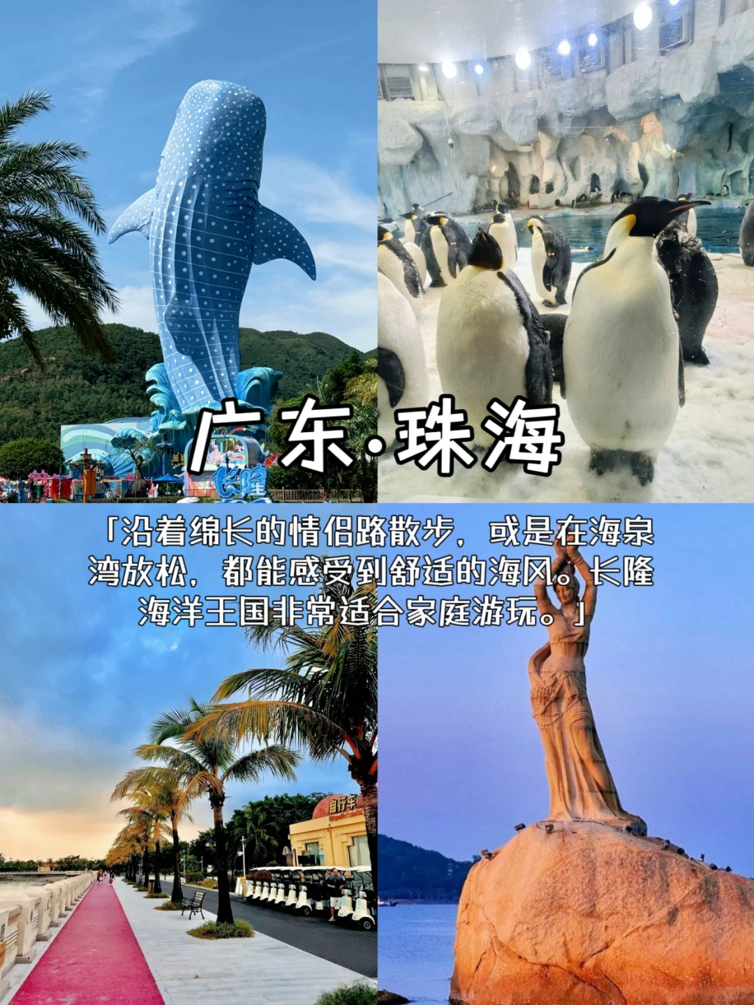 冬季反向旅游｜这些城市避寒简直绝了