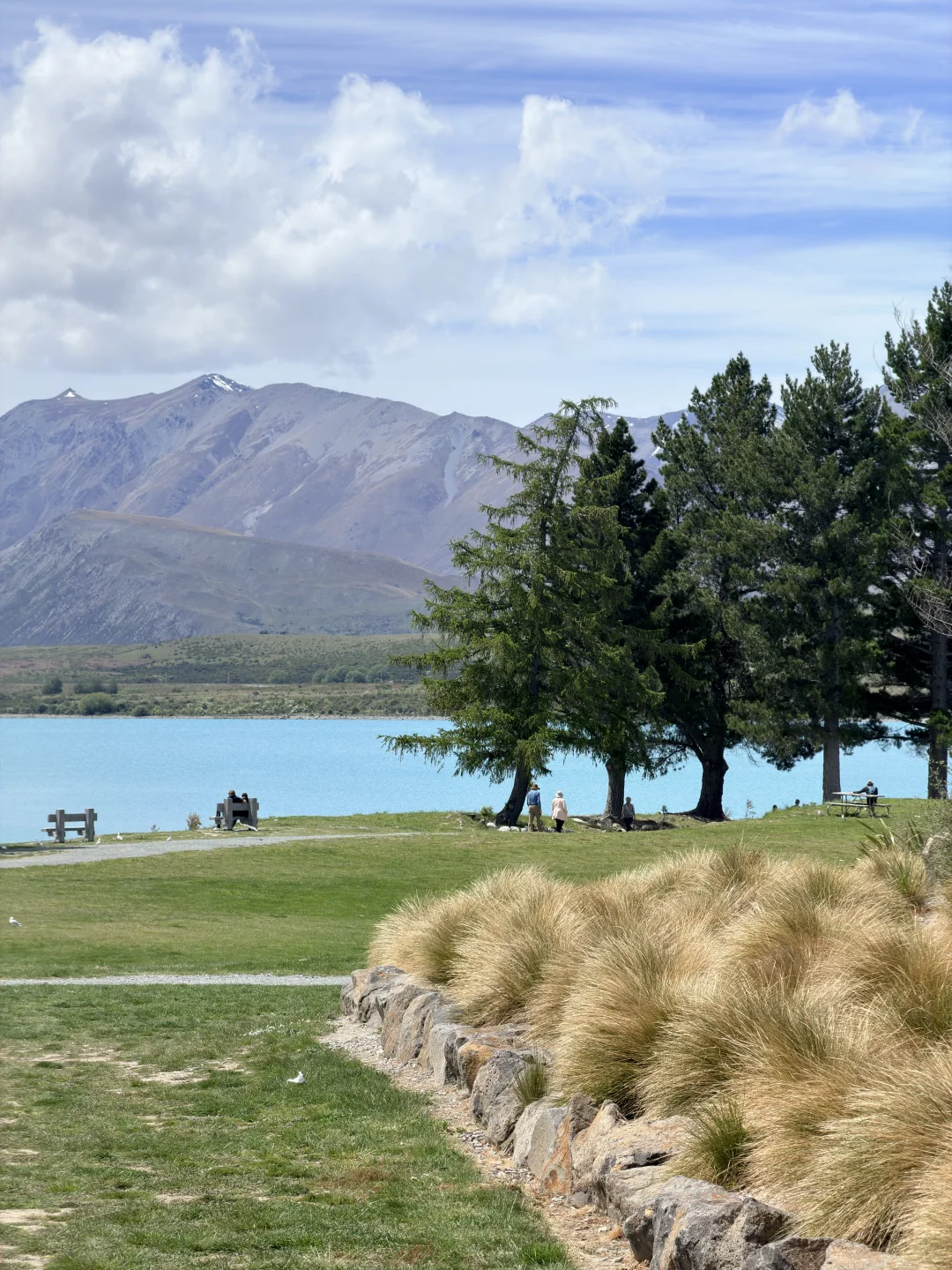 🇳🇿 Lake Tekapo 🩵
