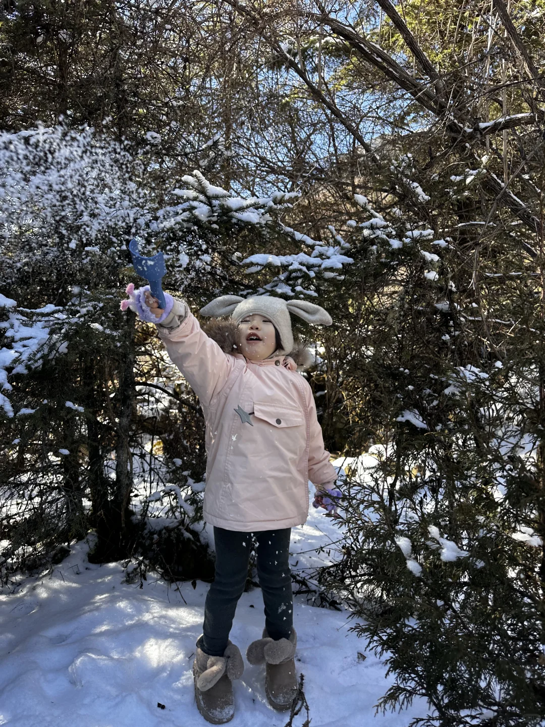 不去禾木❗成都周边玩雪合辑☃️宝妈快收藏❄️