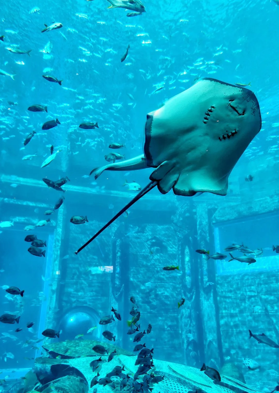 冬天冲三亚才是顶流快乐！旅行宝藏在这里