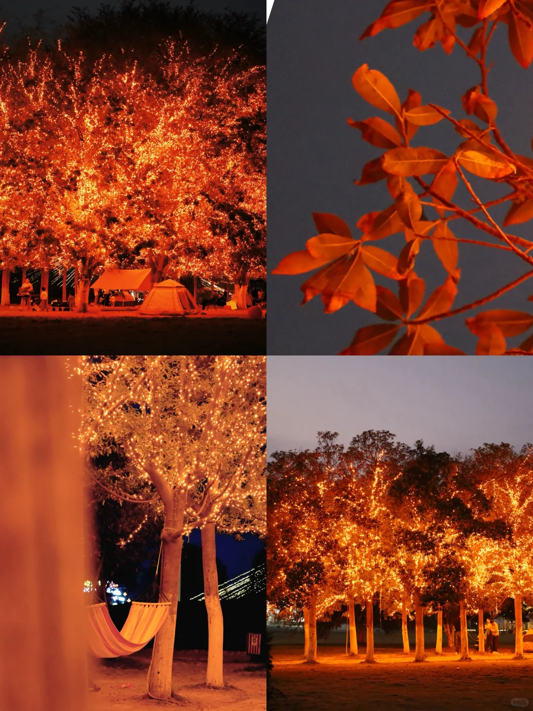 木兰草原｜周末不费妈攻略🔥1h直达放肆嗨