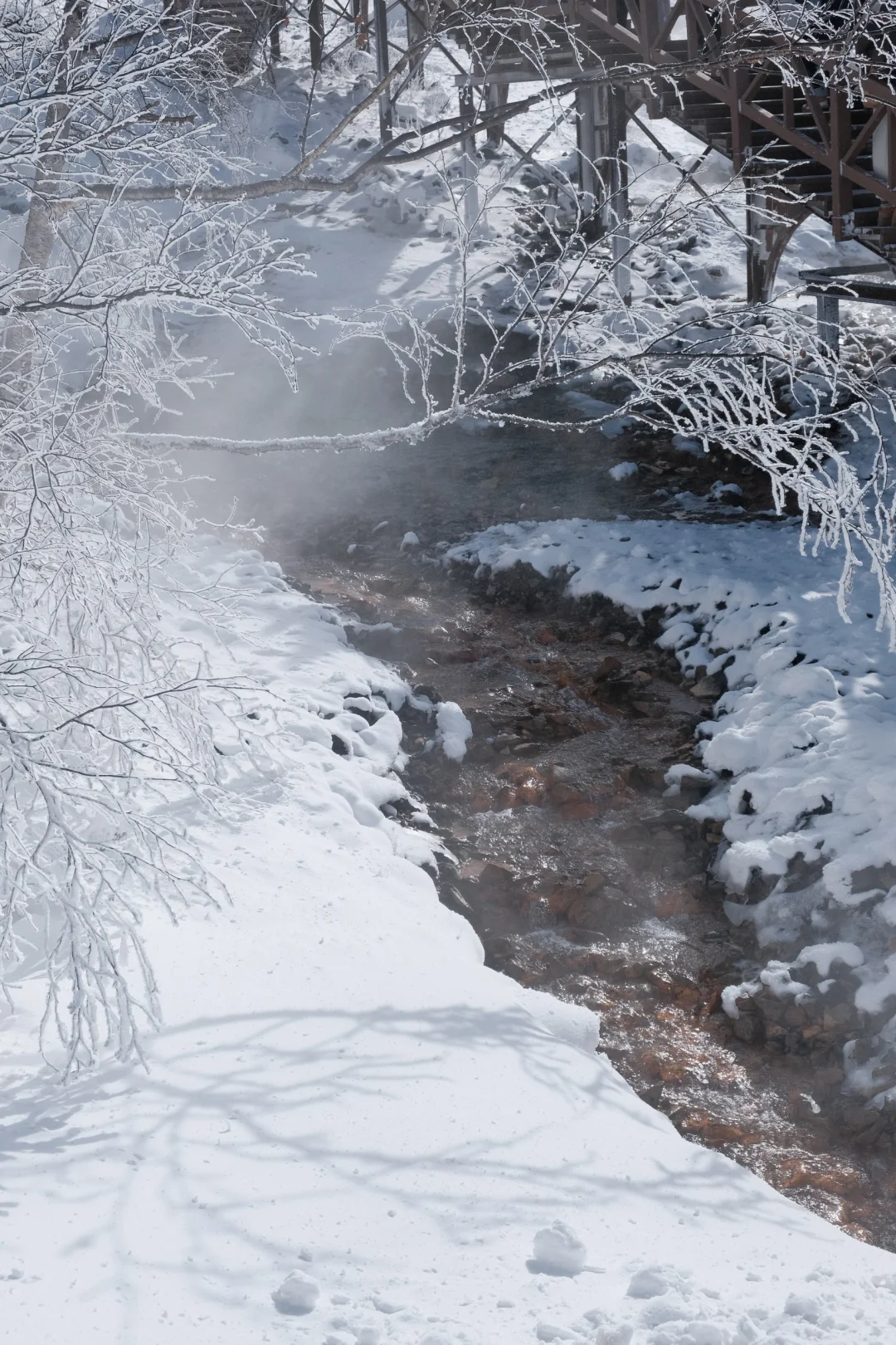 长白山玩雪看这里👀