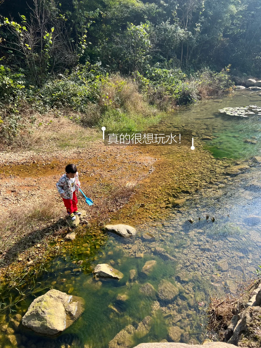 先收藏⭐明年夏天来玩水‼️