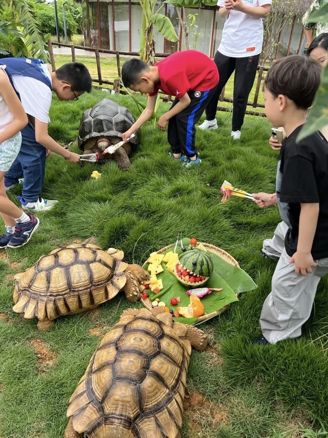 12-3月去广西崇左，一点不累，比迪士尼还好玩