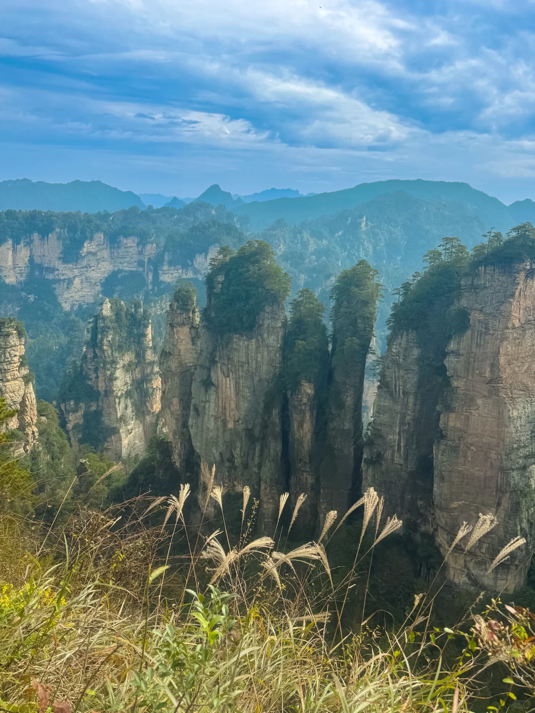 成都自驾出发，5天4夜！张家界亲子游全攻略❗️