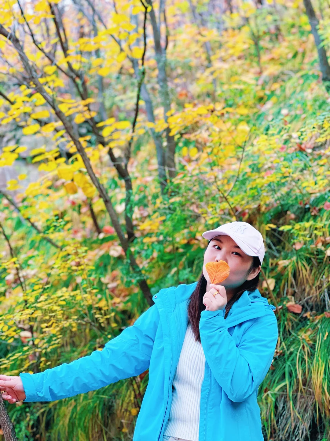 邢台沙河「佛照山」秋天免费出行第一站