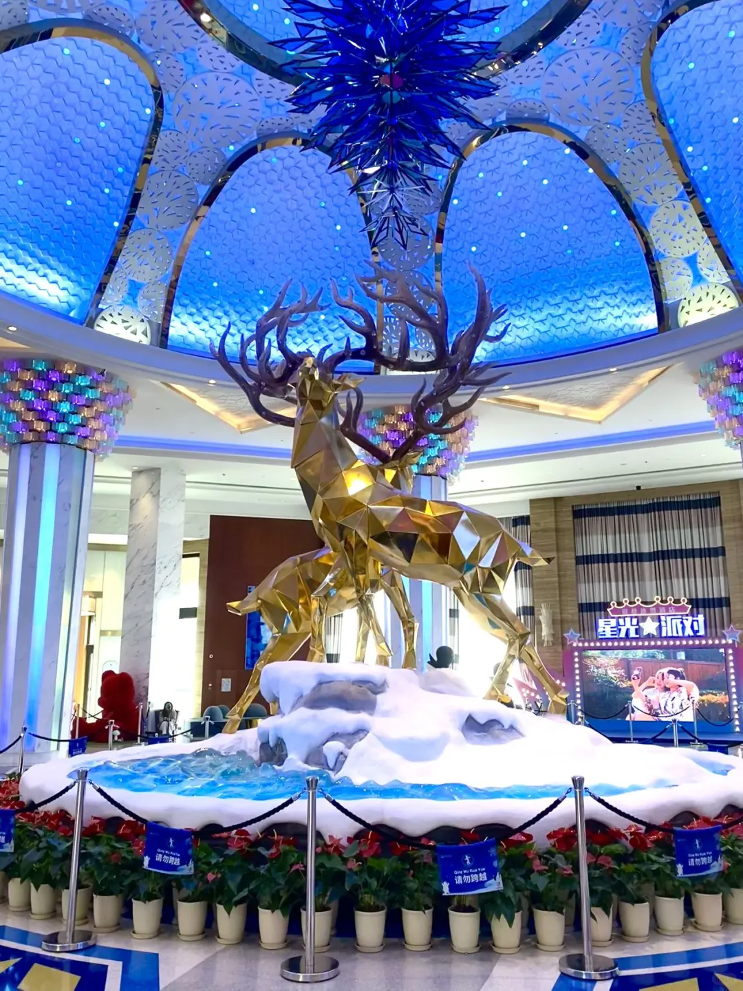 5折拿下郑州吃住玩套餐‼️‼️不囤真的亏