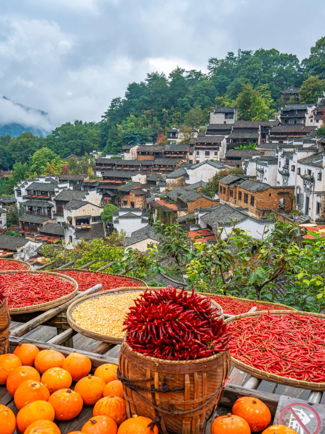 接下来的婺源，堪称国内旅游天花板‼️