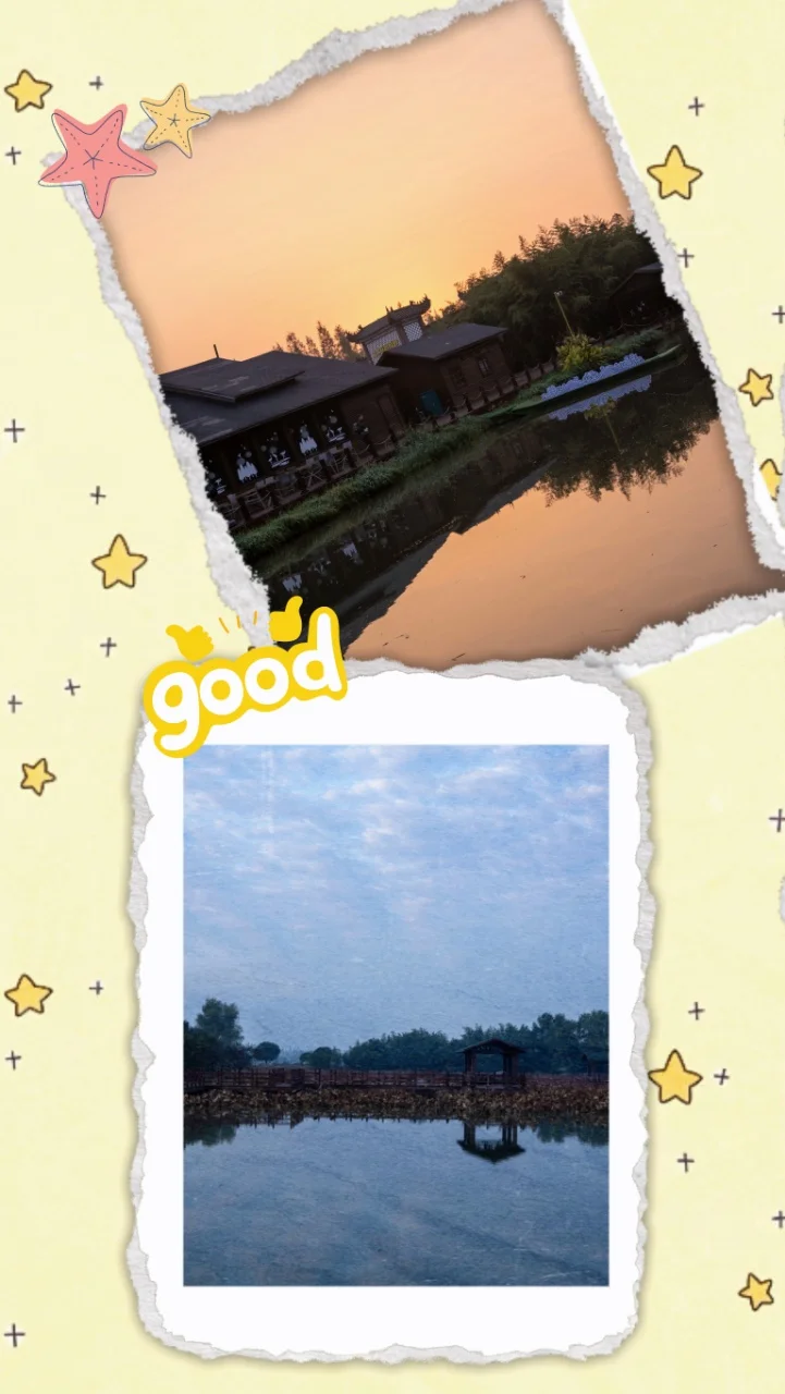 娃在水上森林玩嗨啦🌳