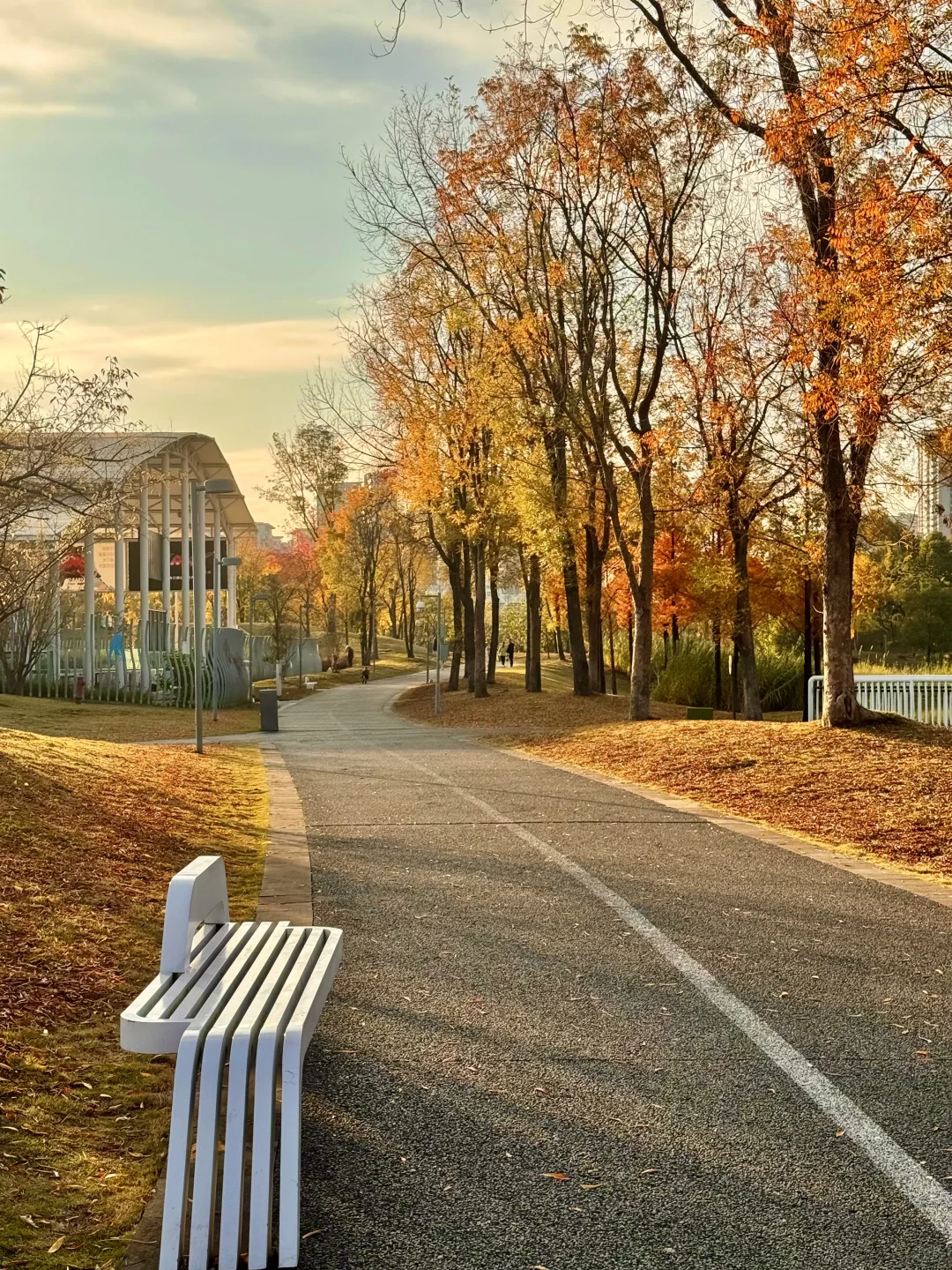 谁懂！成都这个公园有种不在国内的美！