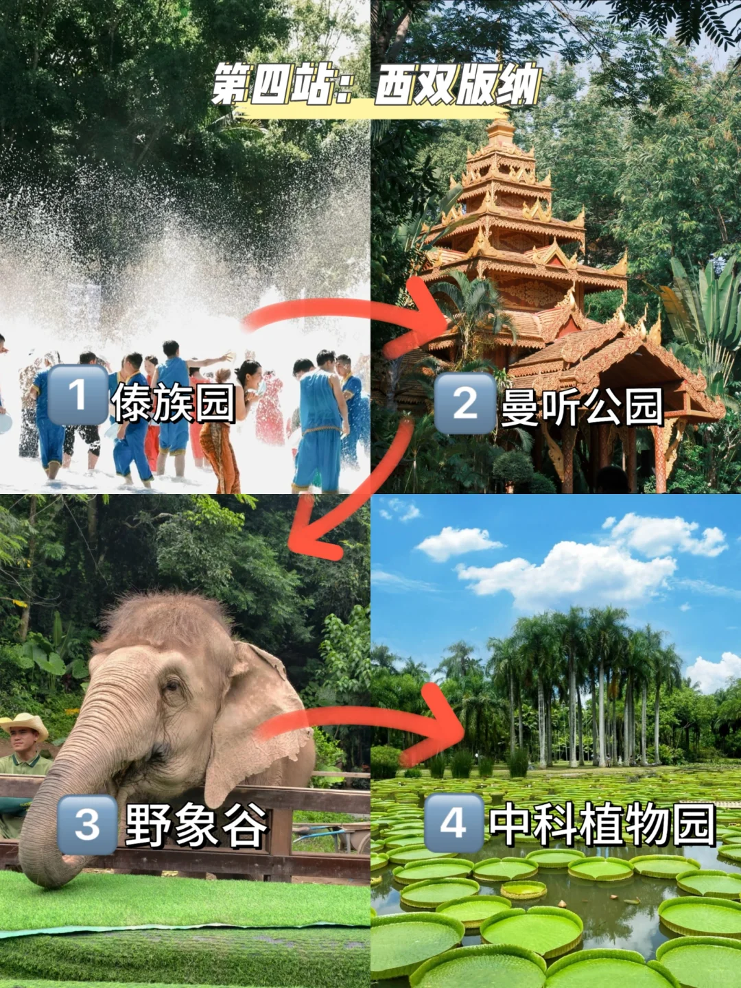 云南从雪山到雨林的终极玩法✨