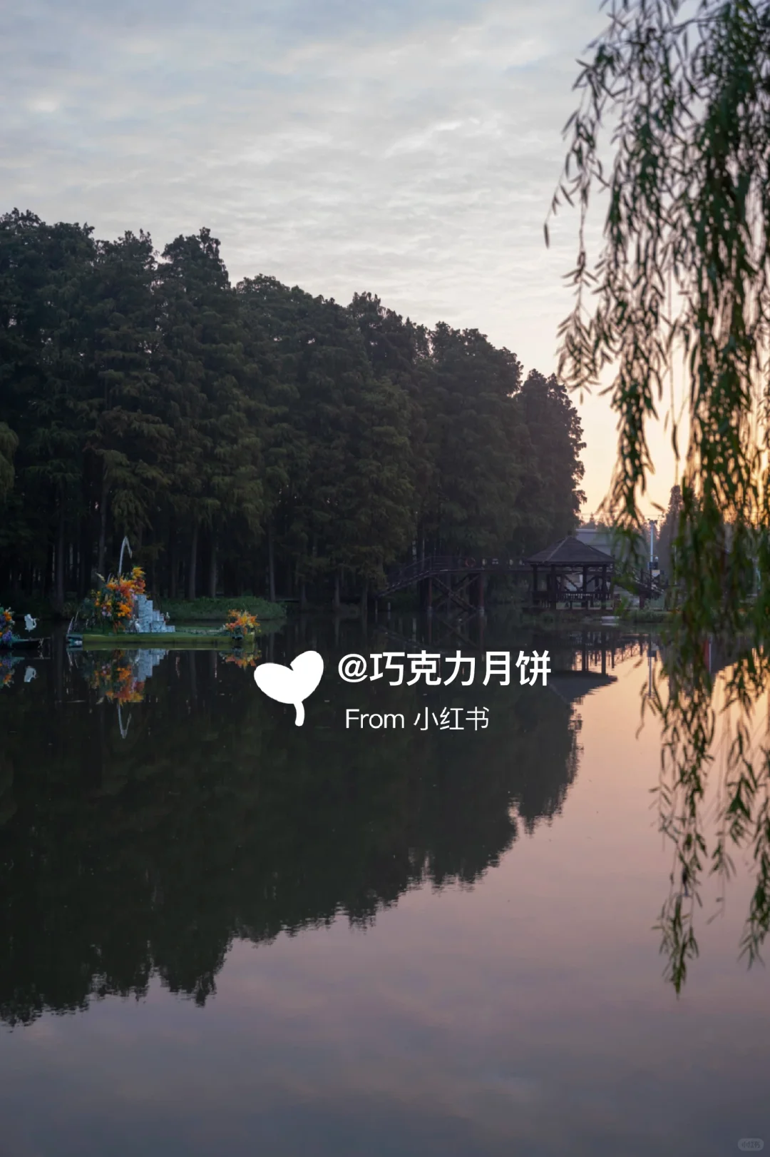 泰州旅行必打卡｜李中水上森林太值得了！