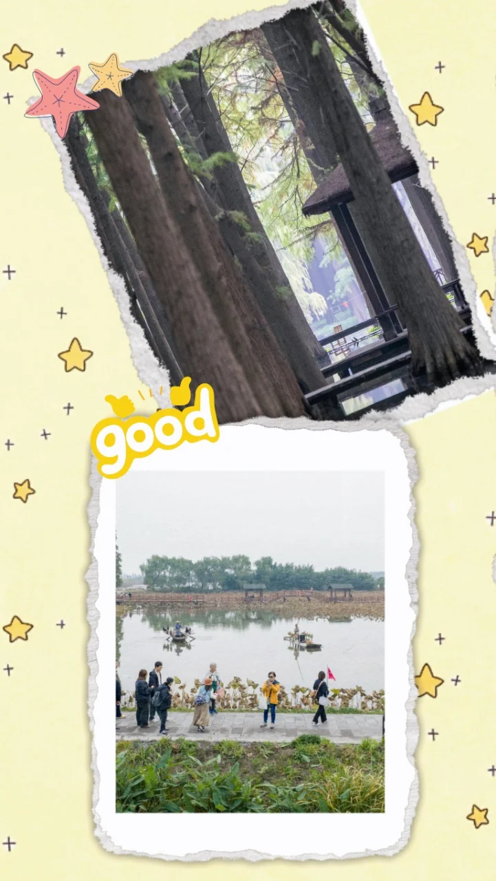 娃在水上森林玩嗨啦🌳