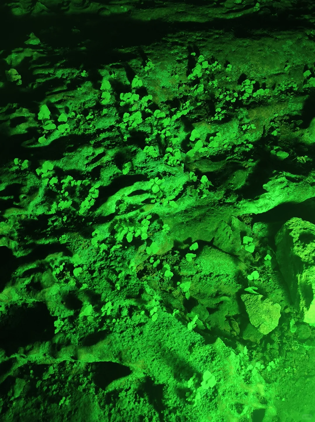 哇塞！宜春这个洞穴太好玩了吧！！