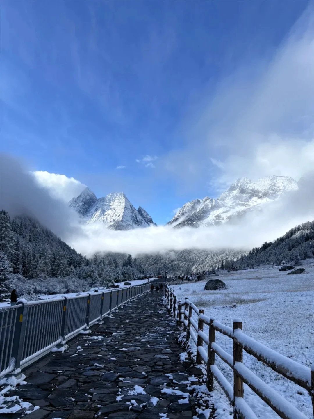 四姑娘山一日游纯玩团168💰，含门票+车费
