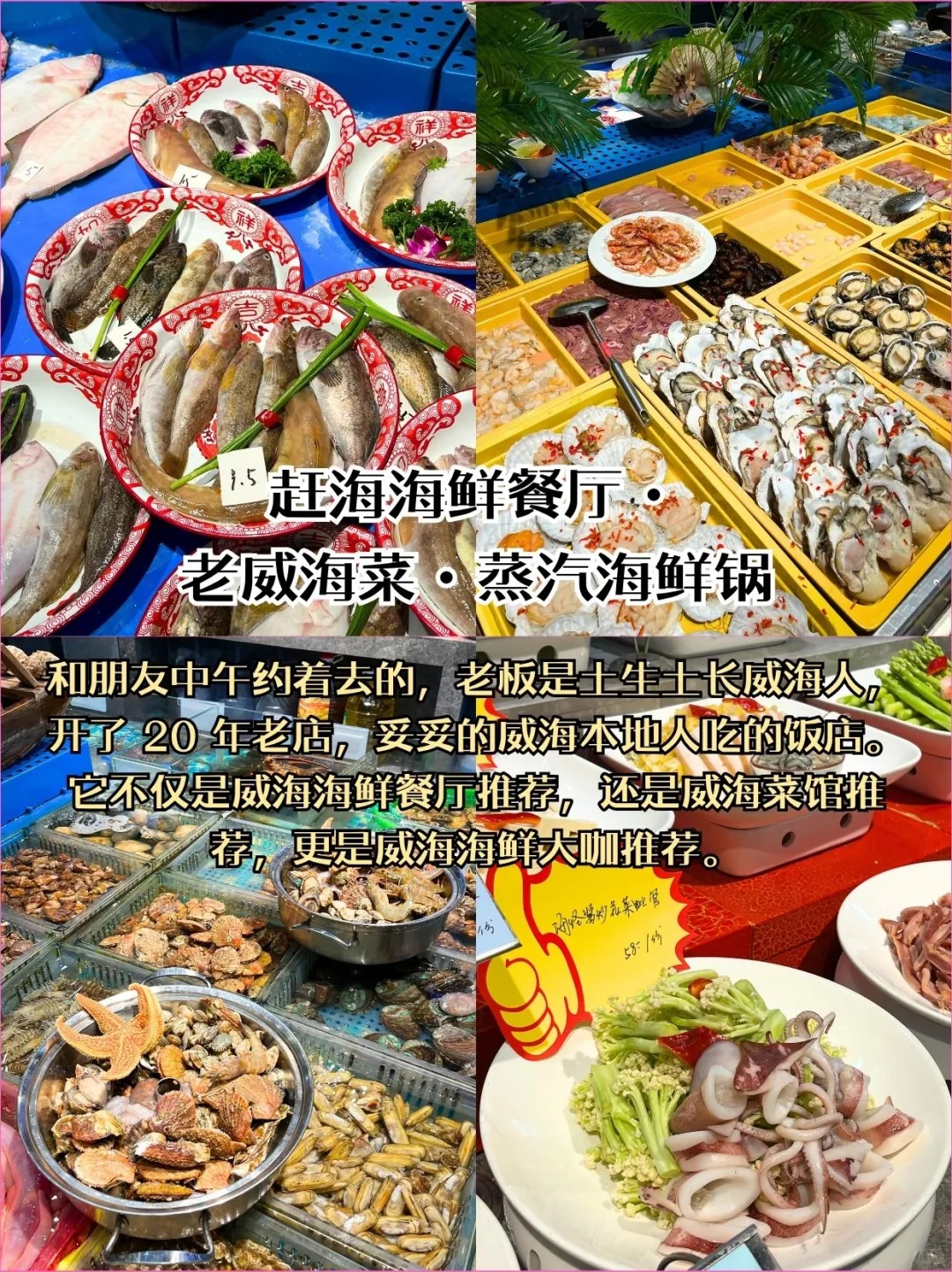 🚨11 月威海避坑指南！本地人看了都夸细