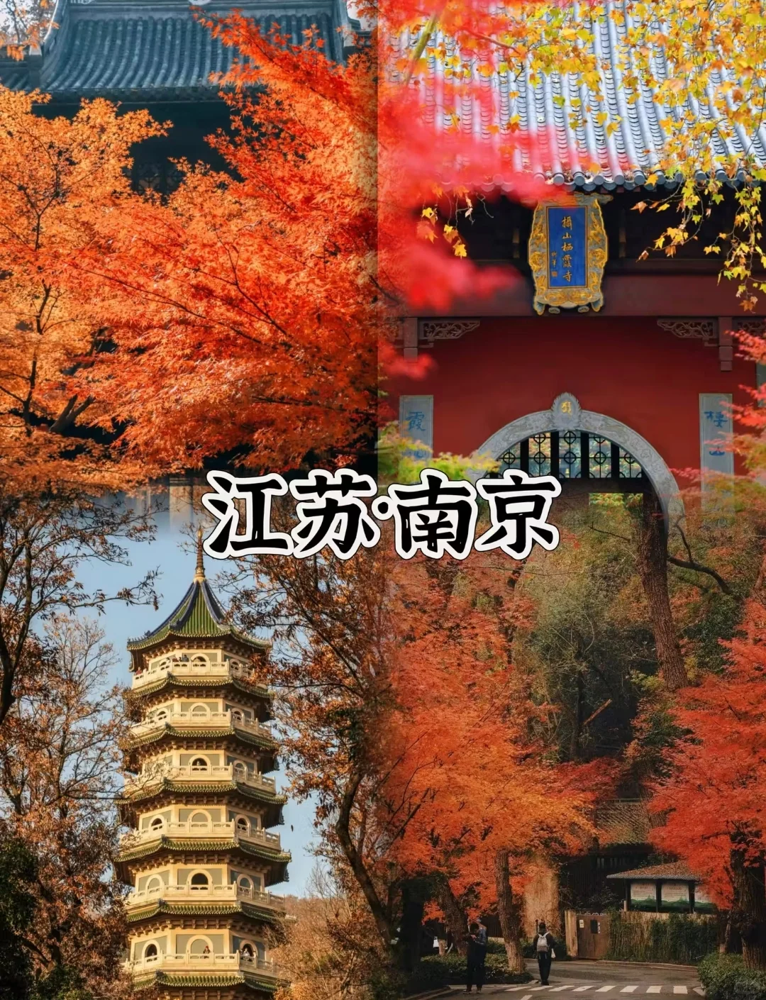 适合11~12月短途游!四个城市推荐!高铁直达!