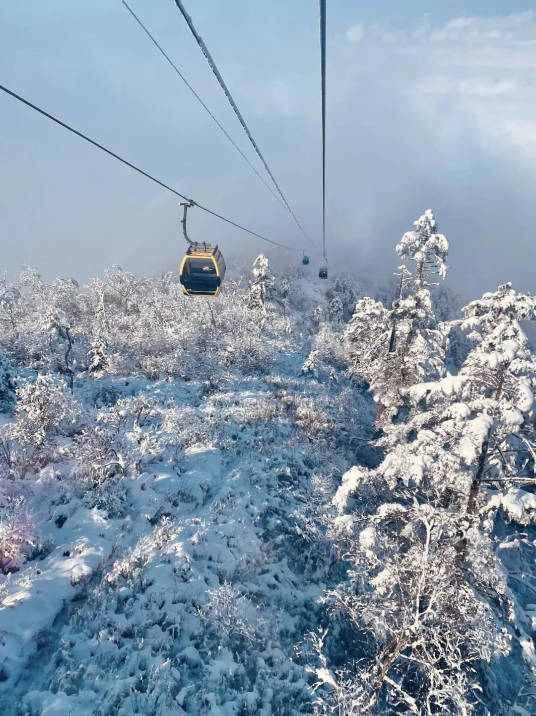 西岭雪山1日游包车全攻略｜玩雪嗨翻天