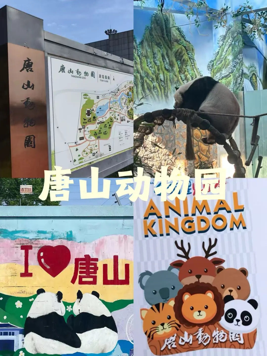 唐山11-12月景点红黑榜📍建议去🆚不建议去