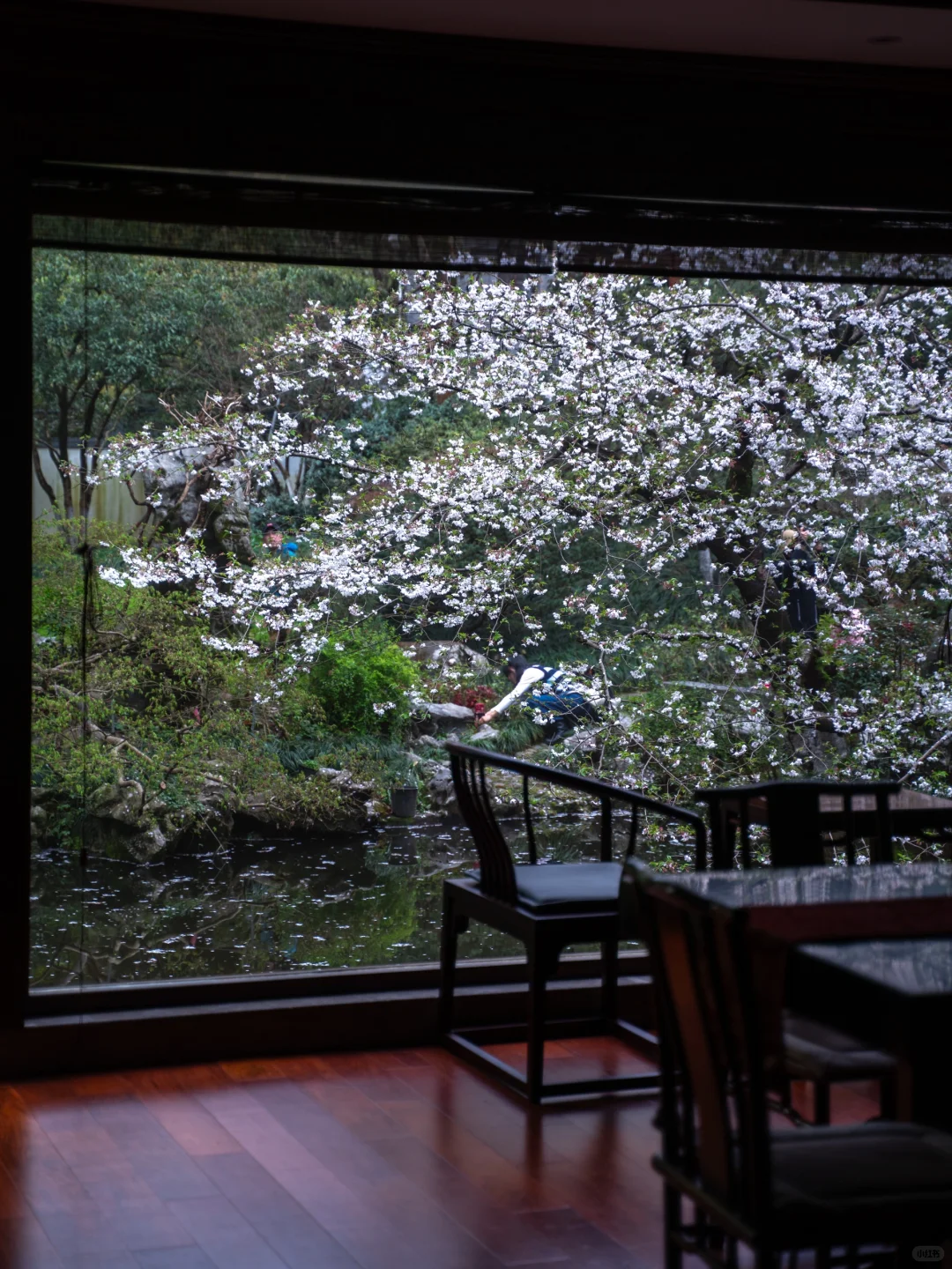 为了这1️⃣8️⃣张图，特意飞了一趟杭州，值吗！