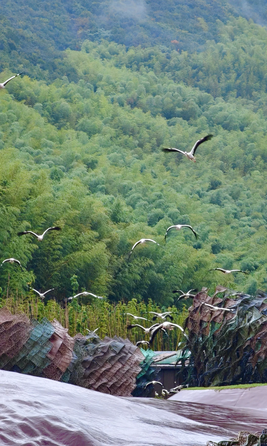 宜兴！你不宣传这江南小镇！你糊涂啊！！！！！！！