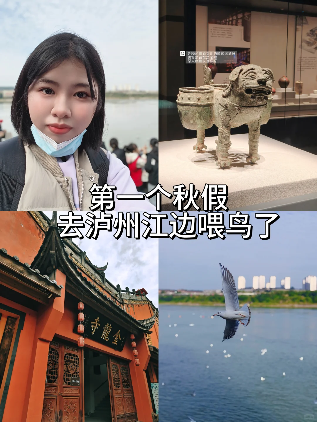 特种兵泸州一日游｜重庆出发，一天玩透酒城