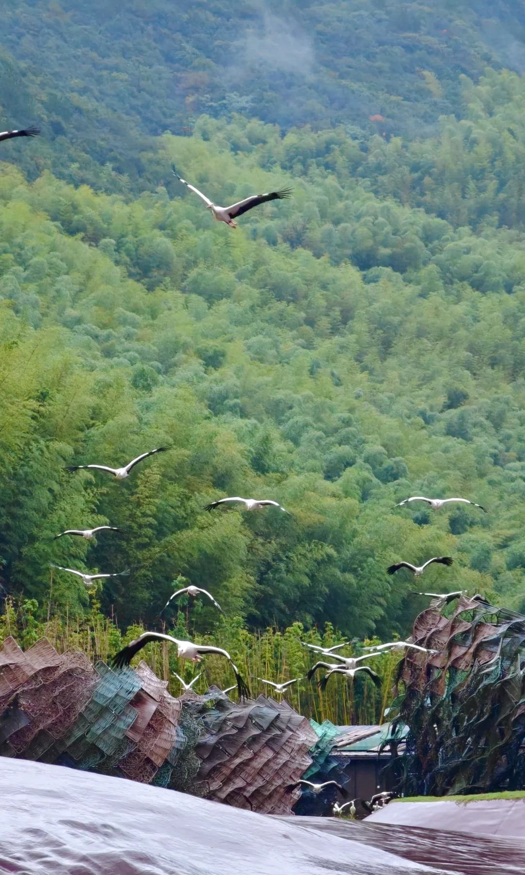 宜兴！你不宣传这江南小镇！你糊涂啊！！！！！！！