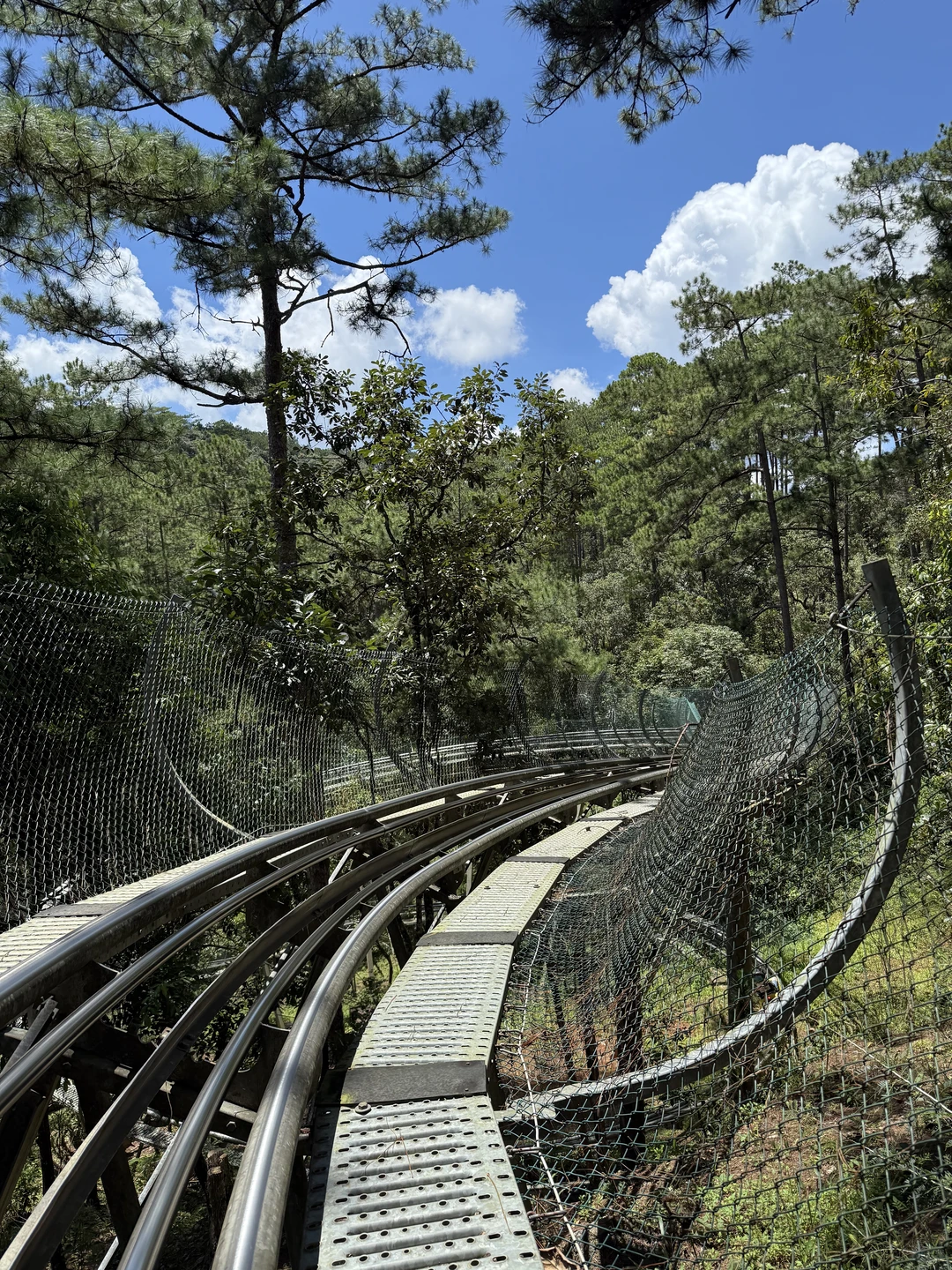 越南Day3｜大叻山城的户外与烟火气✨