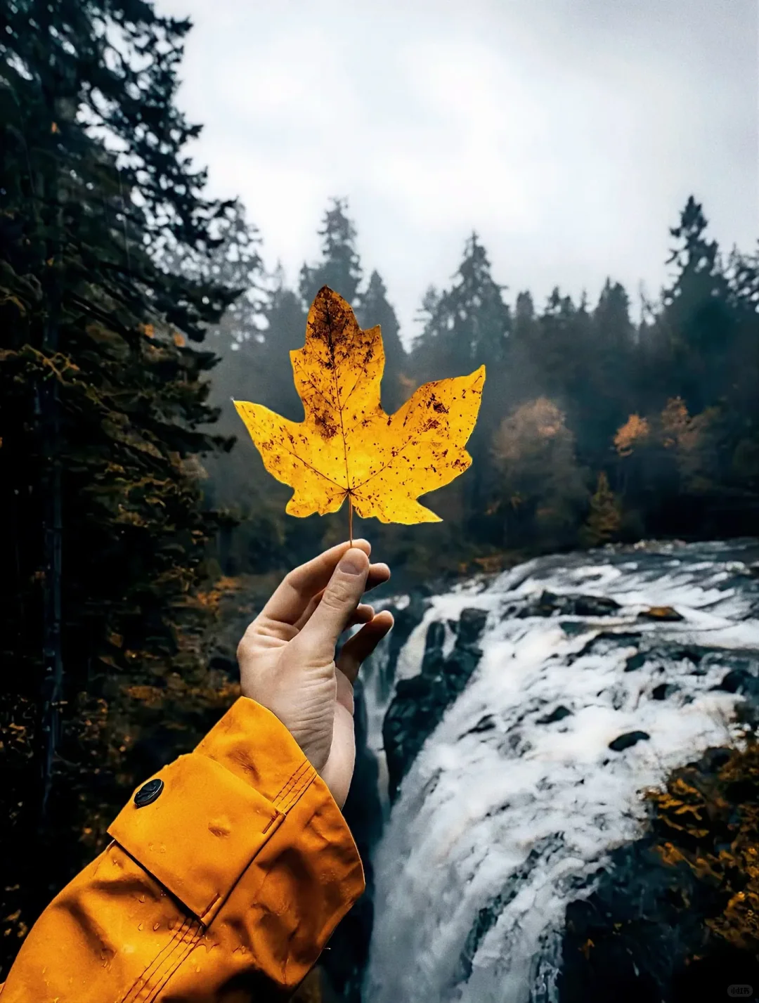 🌙J人狂喜📍这份香格里拉攻略锁死必看