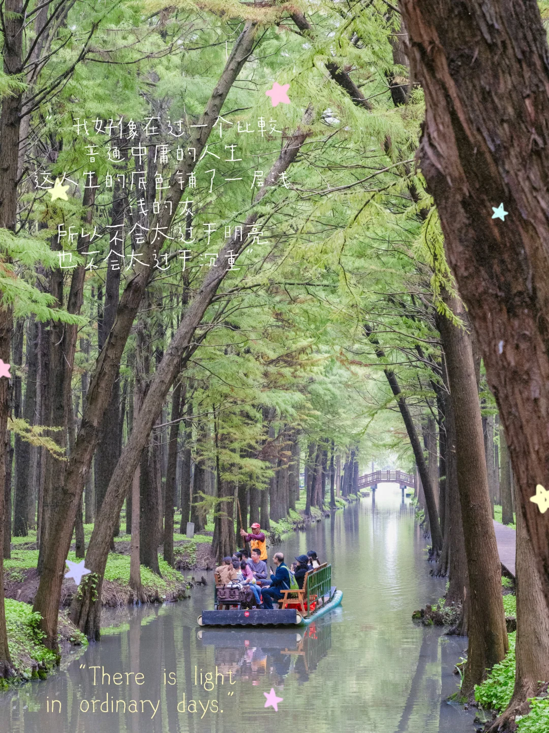 李中水上森林保姆级攻略｜避开人潮玩尽兴💯
