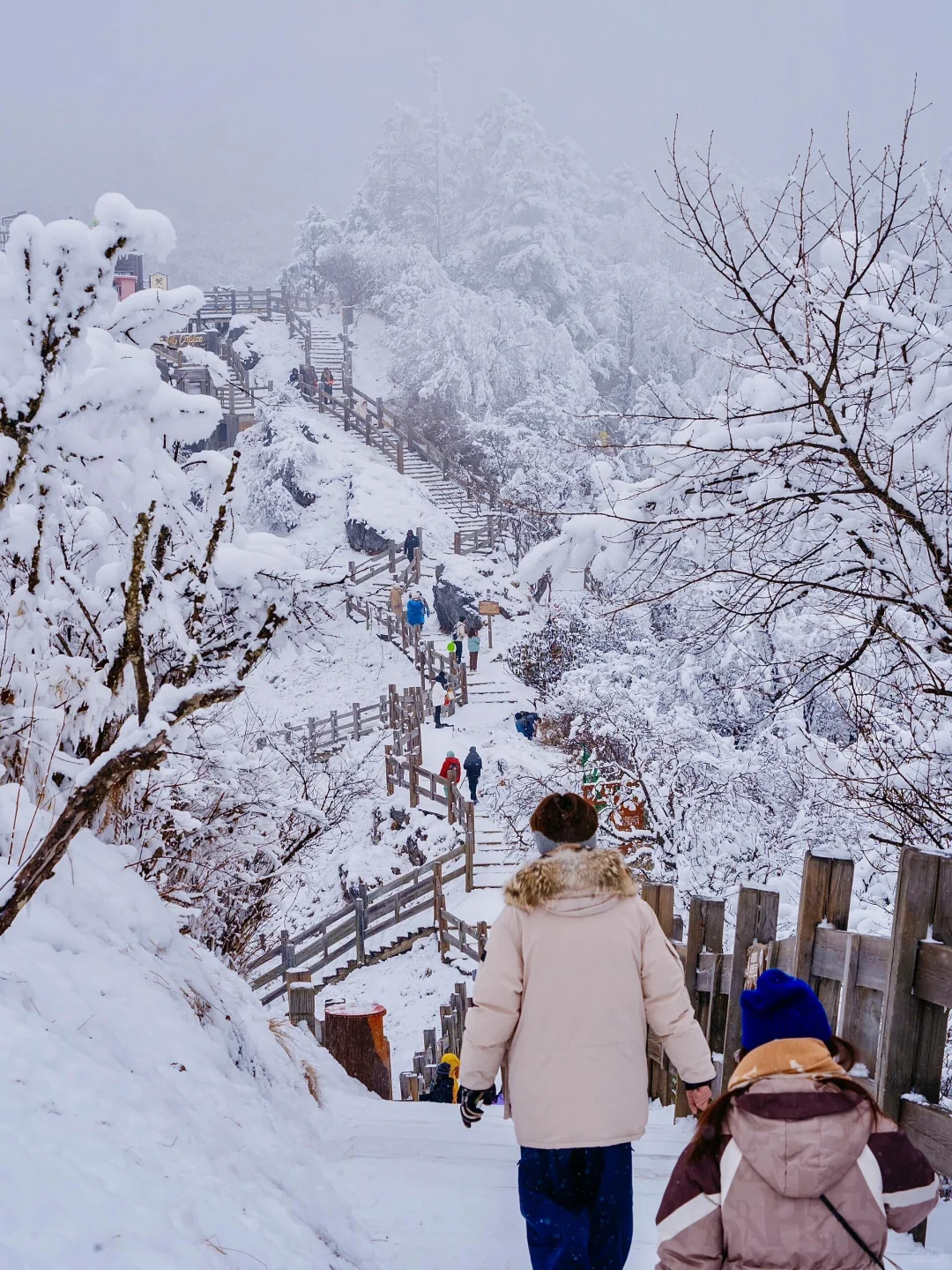 西岭雪山1日游包车全攻略｜玩雪嗨翻天