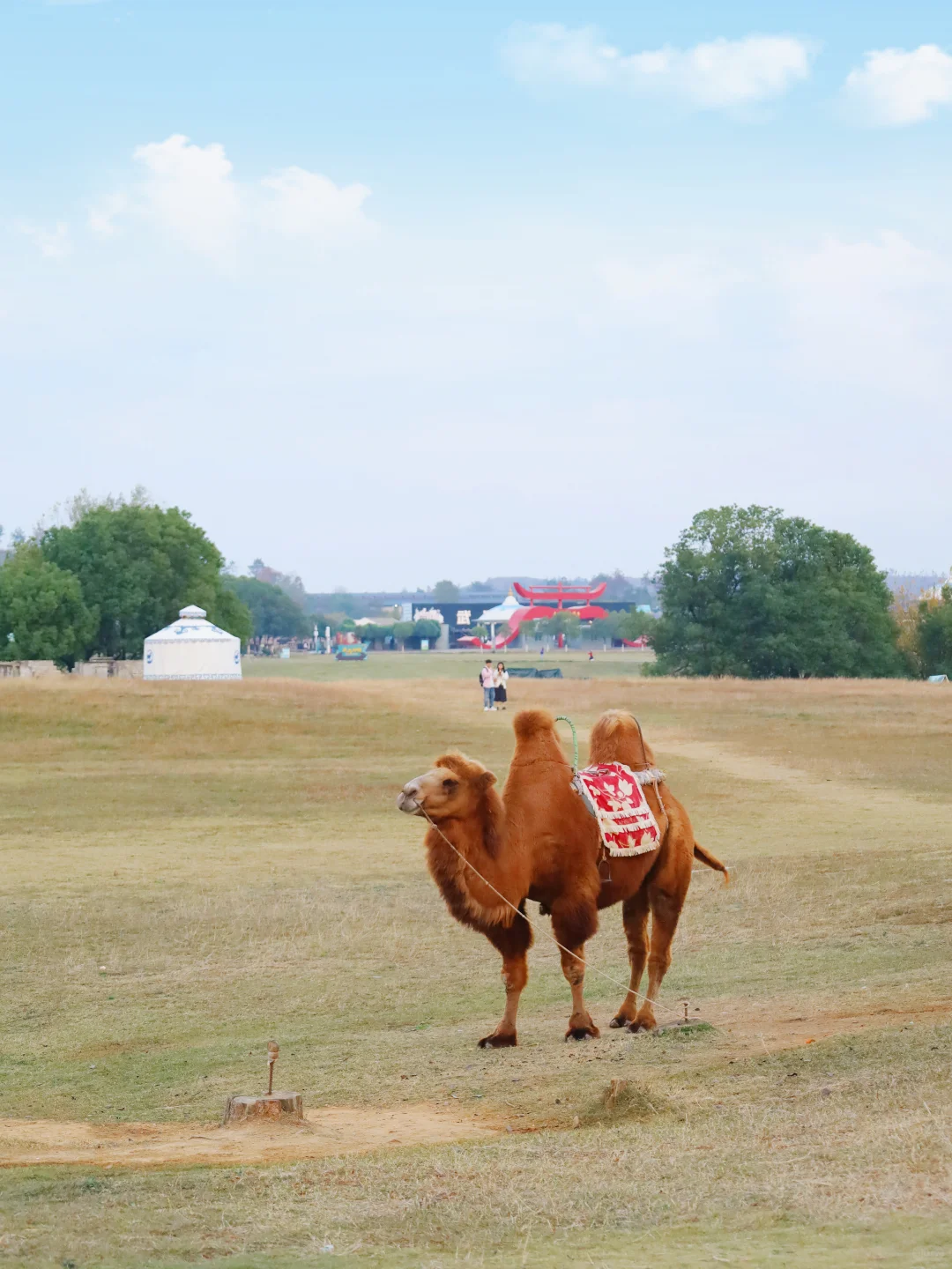 木兰草原｜周末不费妈攻略🔥1h直达放肆嗨