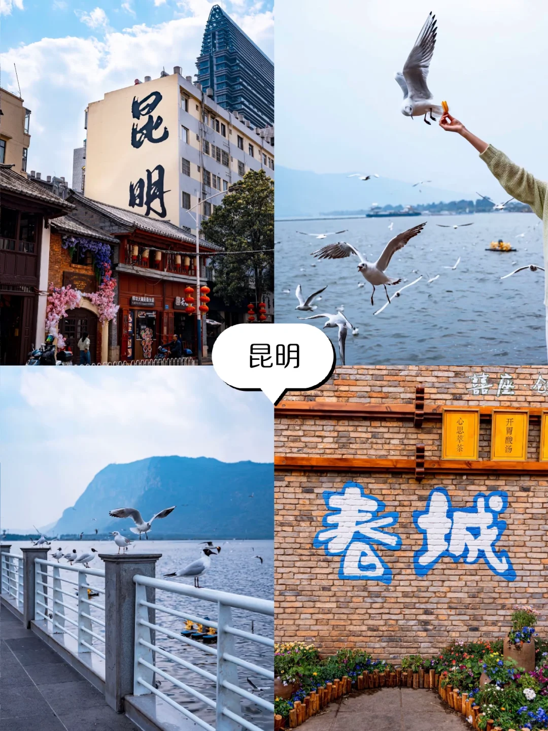 ❄️冬天适合去的6大城市，总有一个打动你❄️