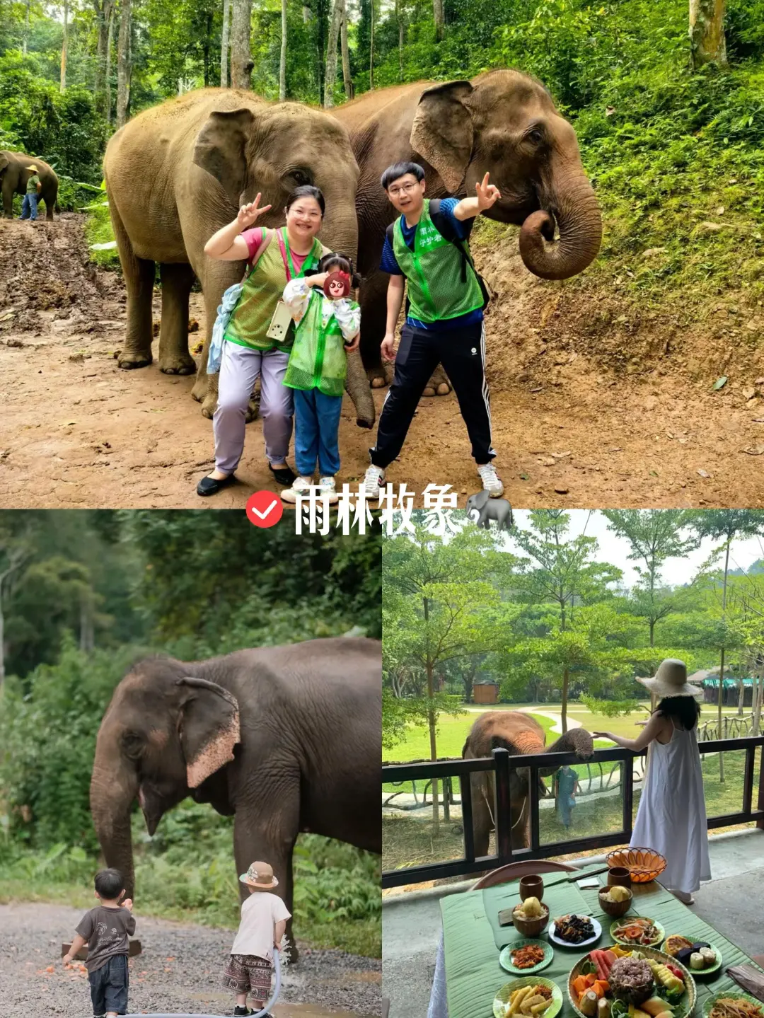 和老公去了版纳,这雨林酒店比泰国还震撼❗