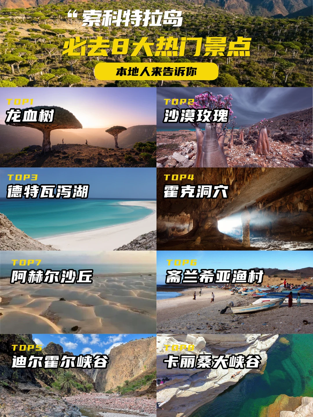 索科特拉岛必去8大热门景点,此生必打卡!!