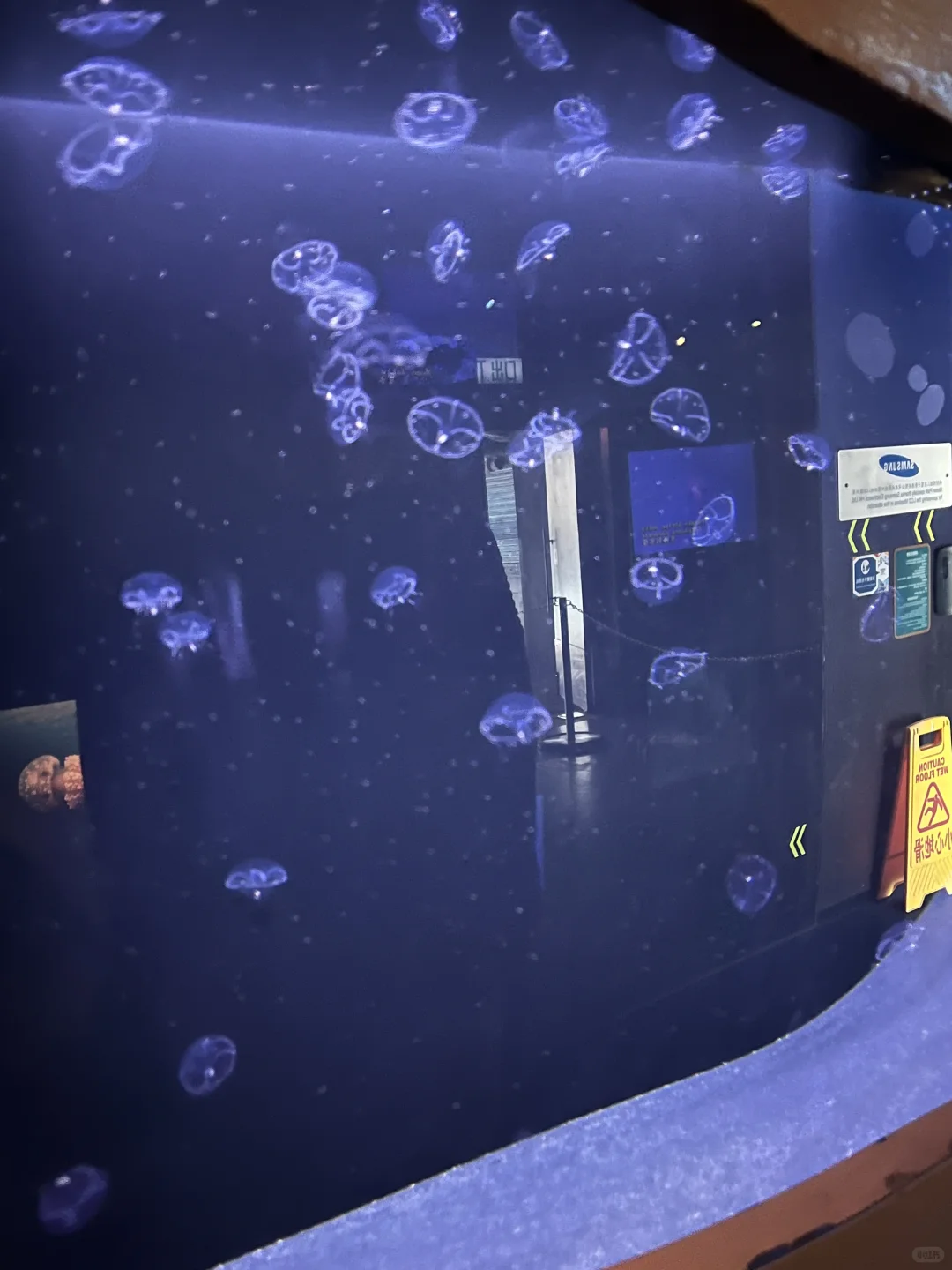 香港海洋公园小tips！