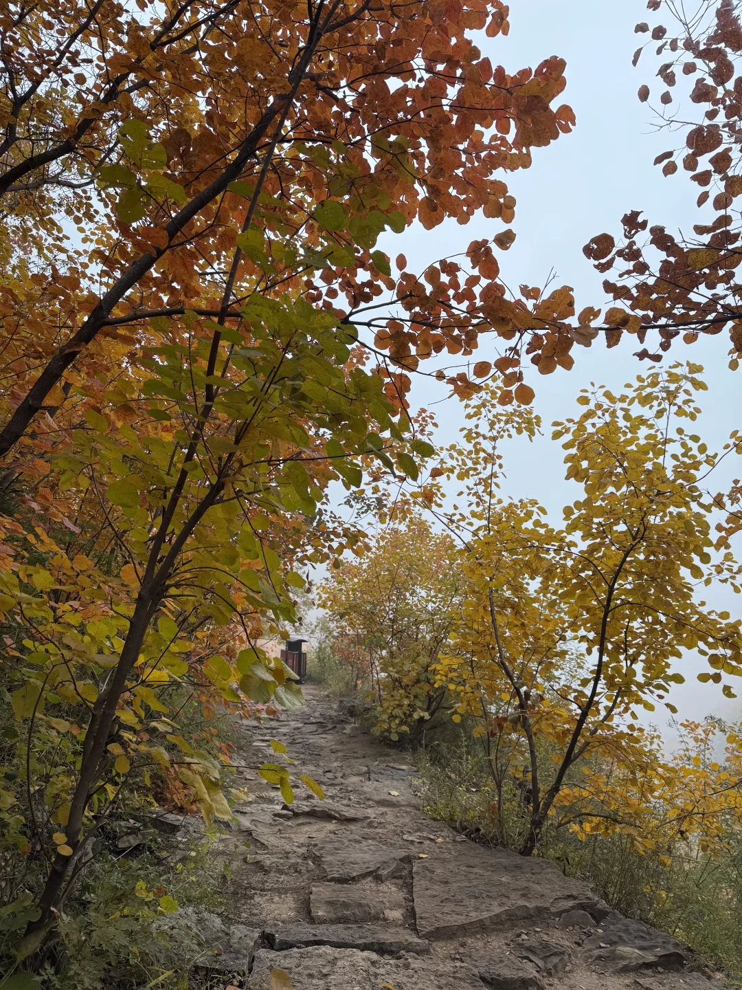邢台也有自己的喀纳斯｜佛照山