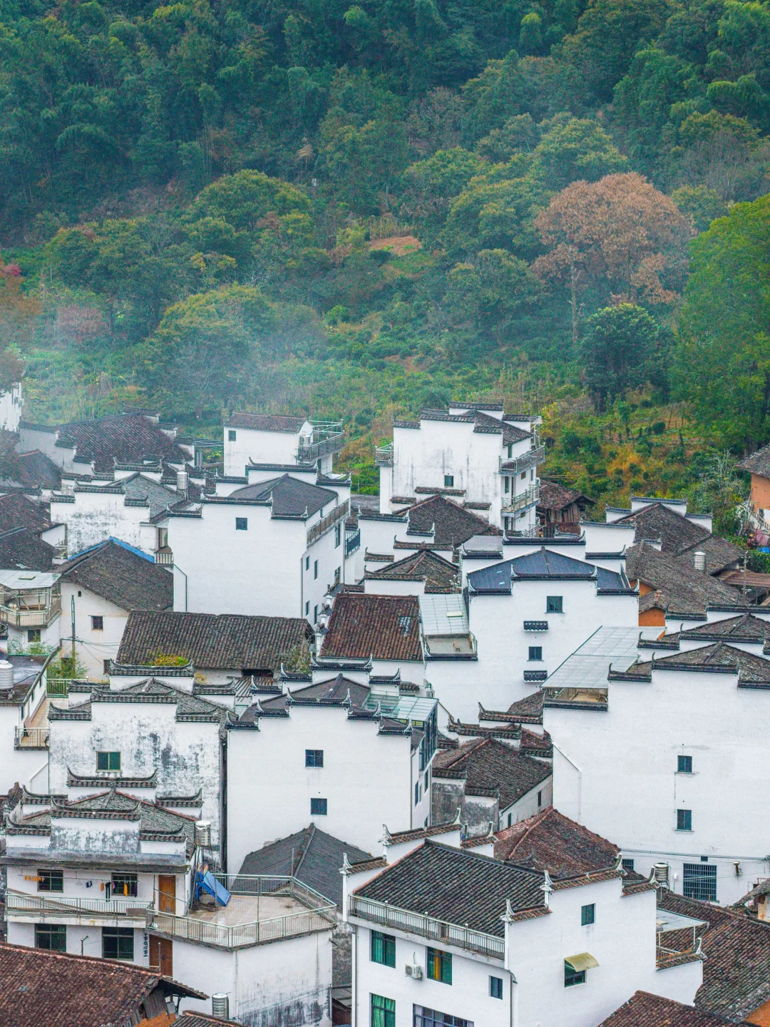 接下来的婺源，堪称国内旅游天花板‼️