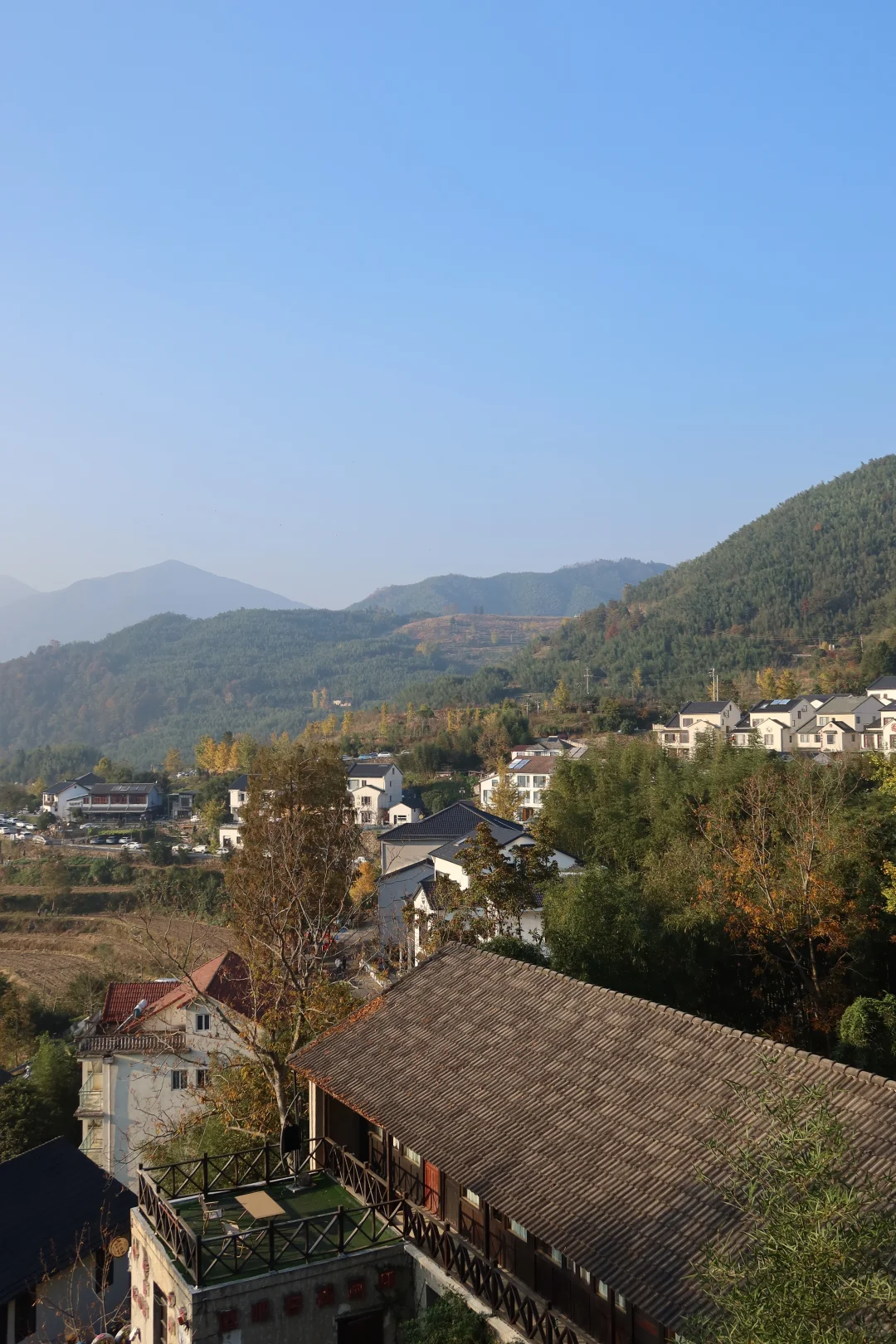 周末去哪玩|指南村秋色正当时🍁赏千年银杏