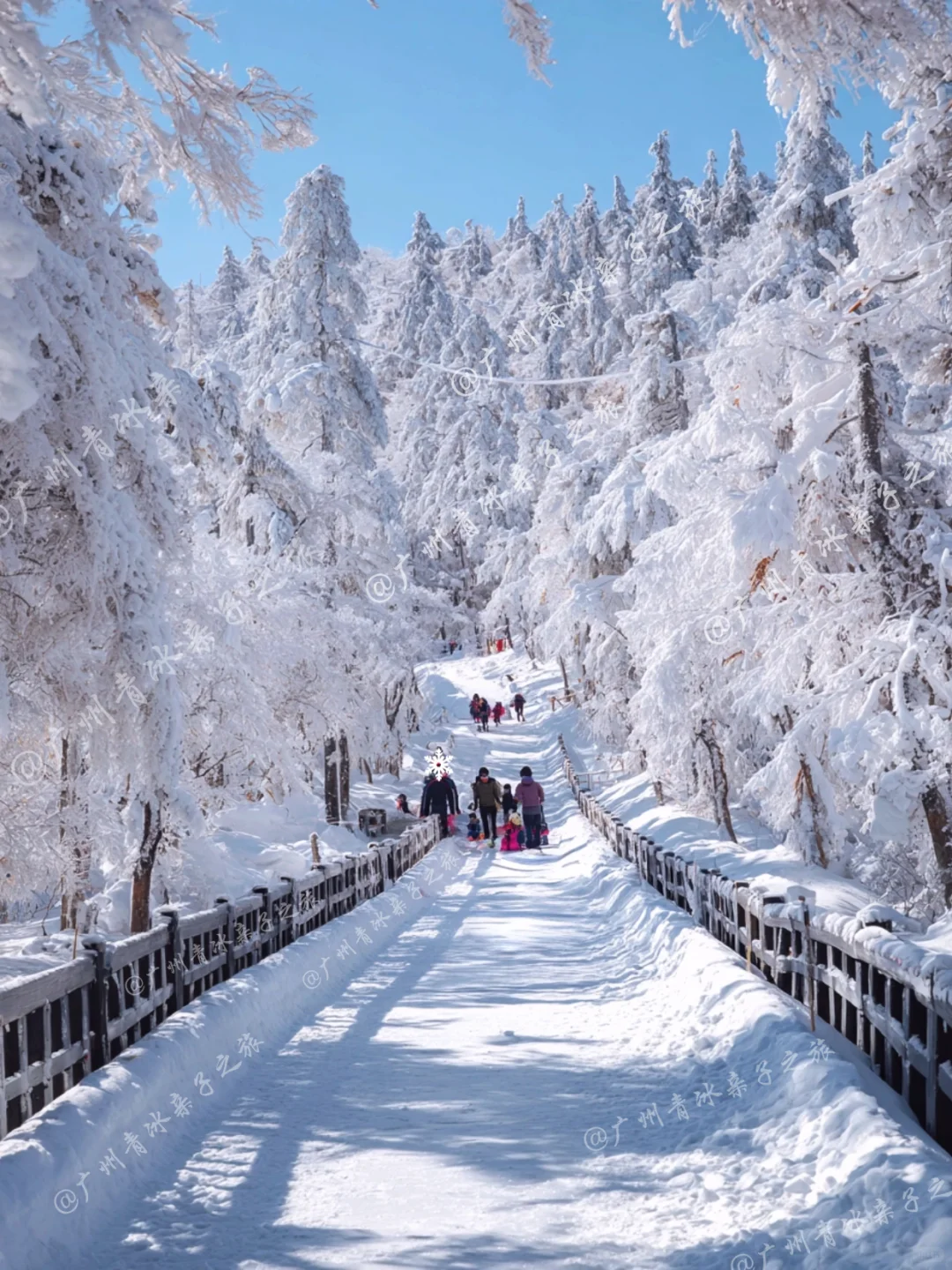 广东出发适合带娃看雪的6个城市 好玩又便宜