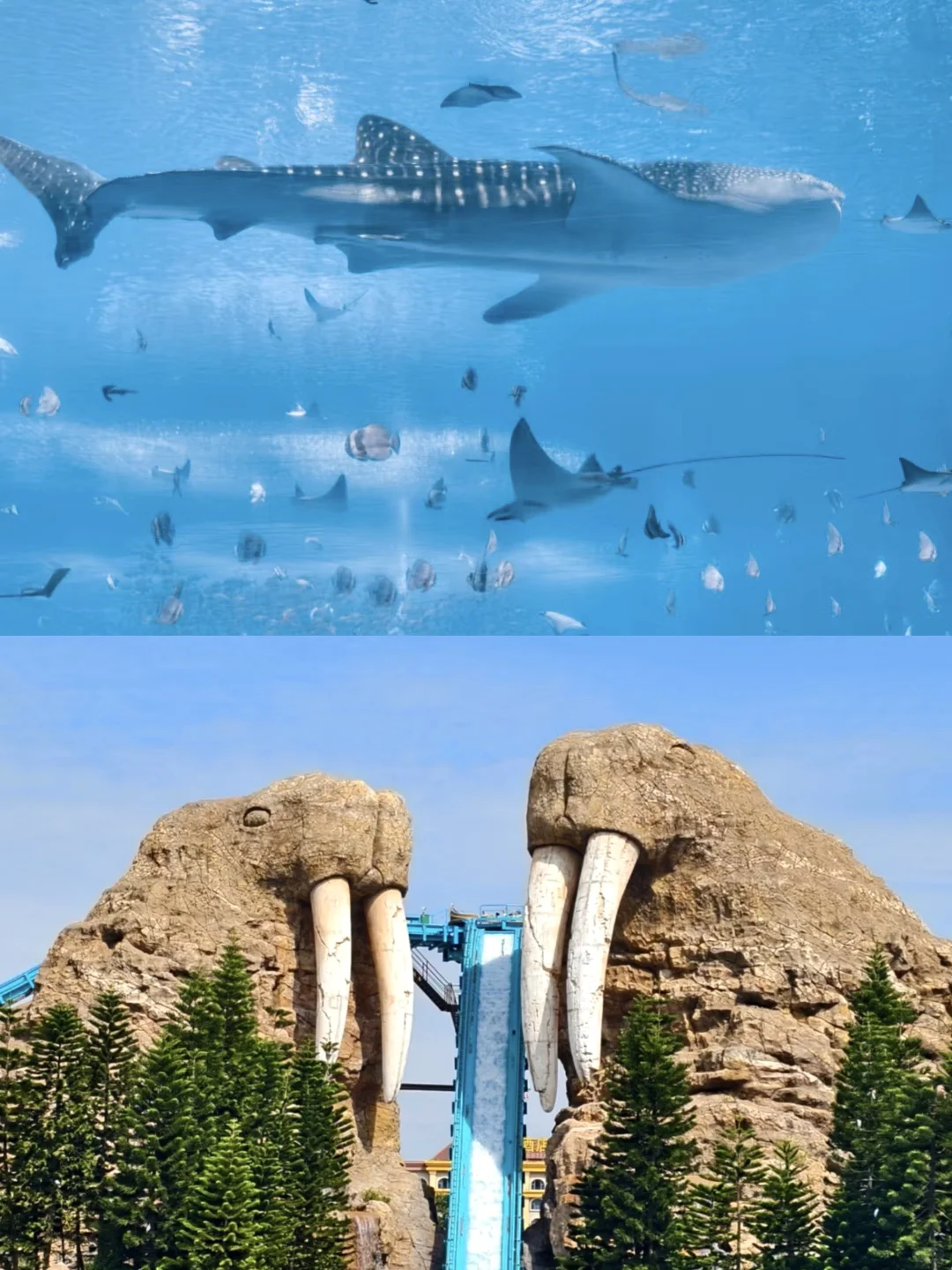 直播预告 | 长隆秋假大促来袭‼️必囤