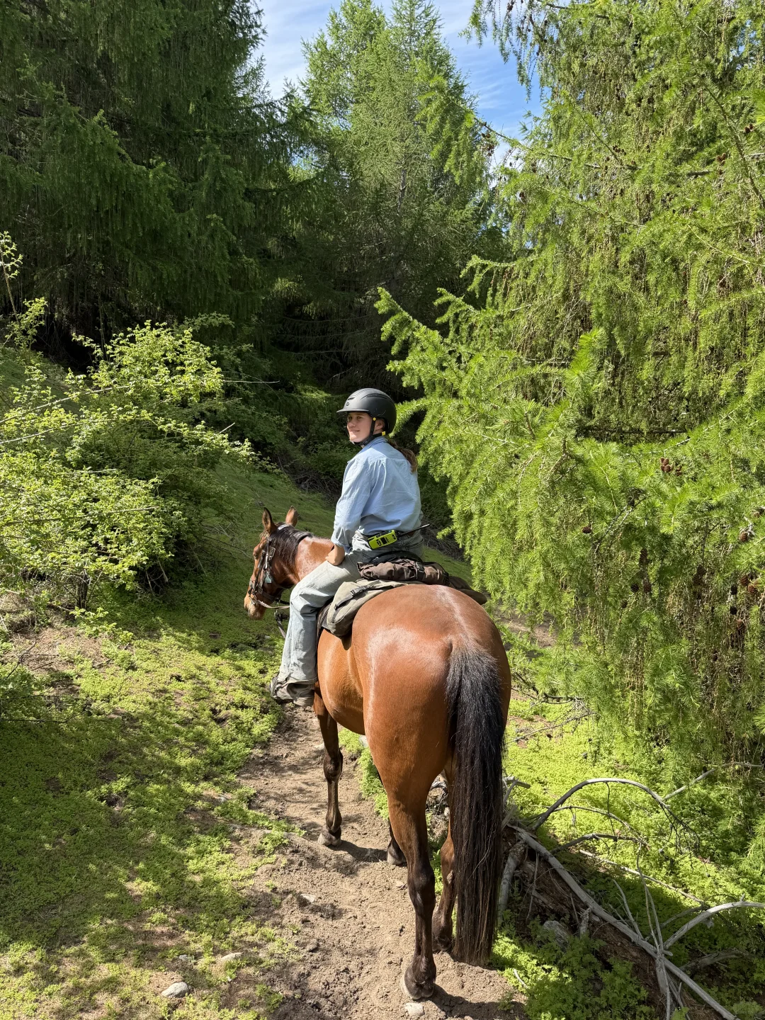 🇳🇿 Lake Tekapo 🩵