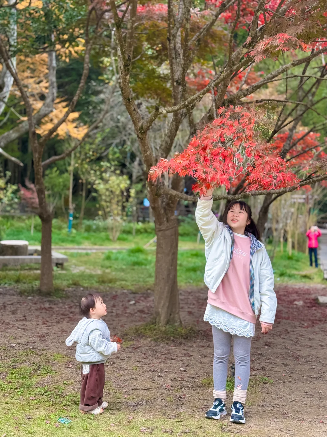 成都自驾出发，5天4夜！张家界亲子游全攻略❗️