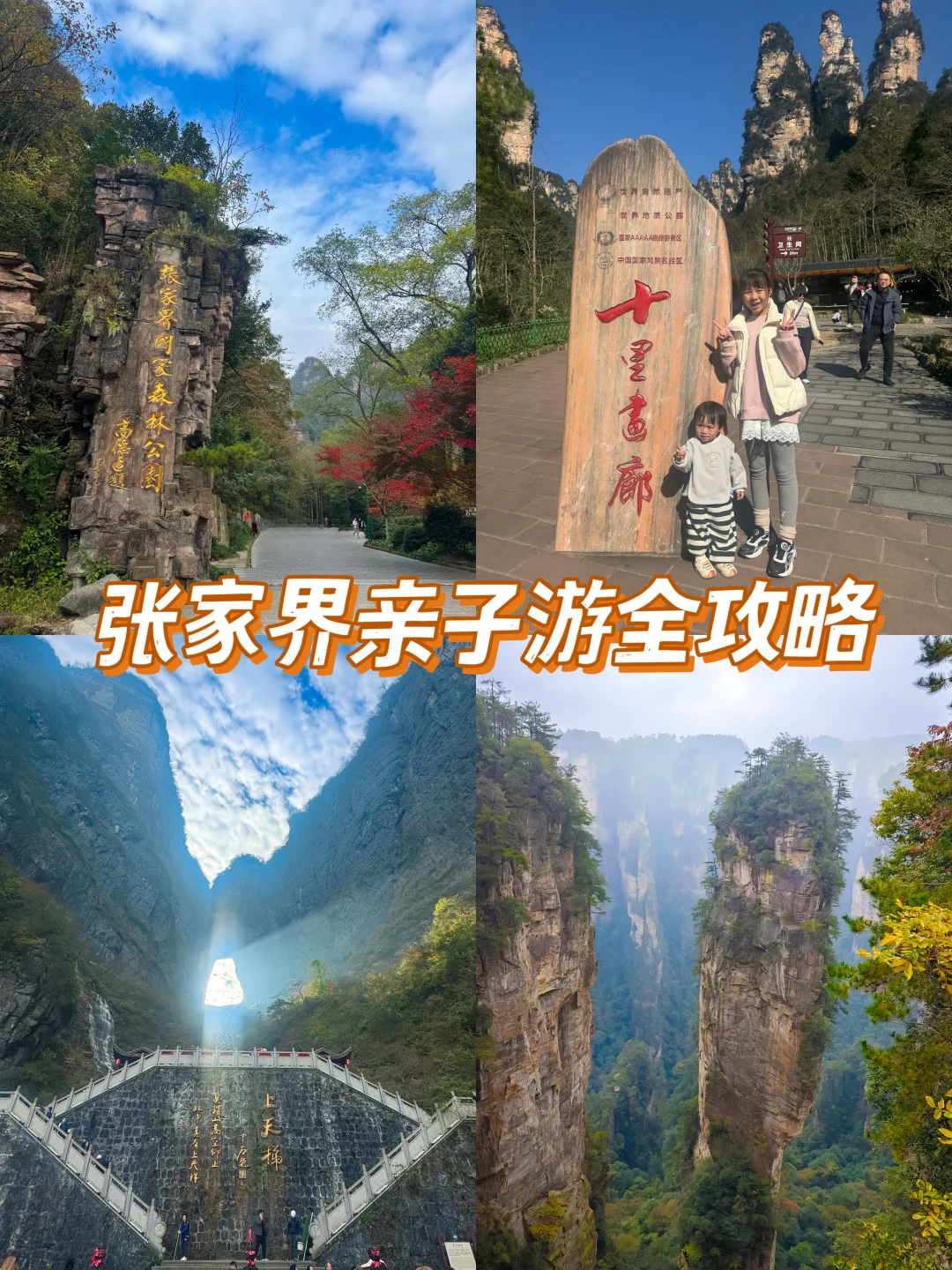成都自驾出发，5天4夜！张家界亲子游全攻略❗️