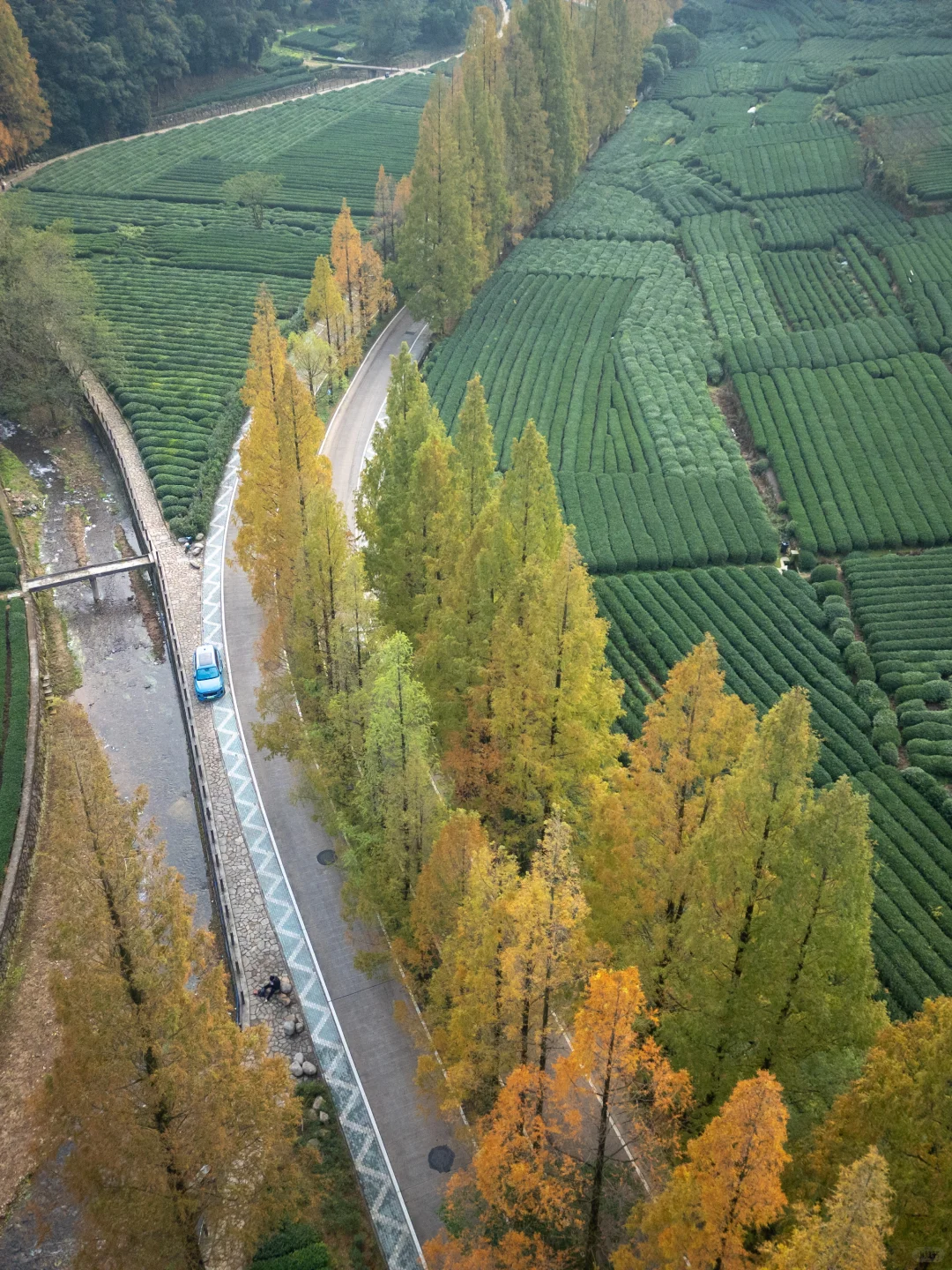 为了这1️⃣8️⃣张图，特意飞了一趟杭州，值吗！