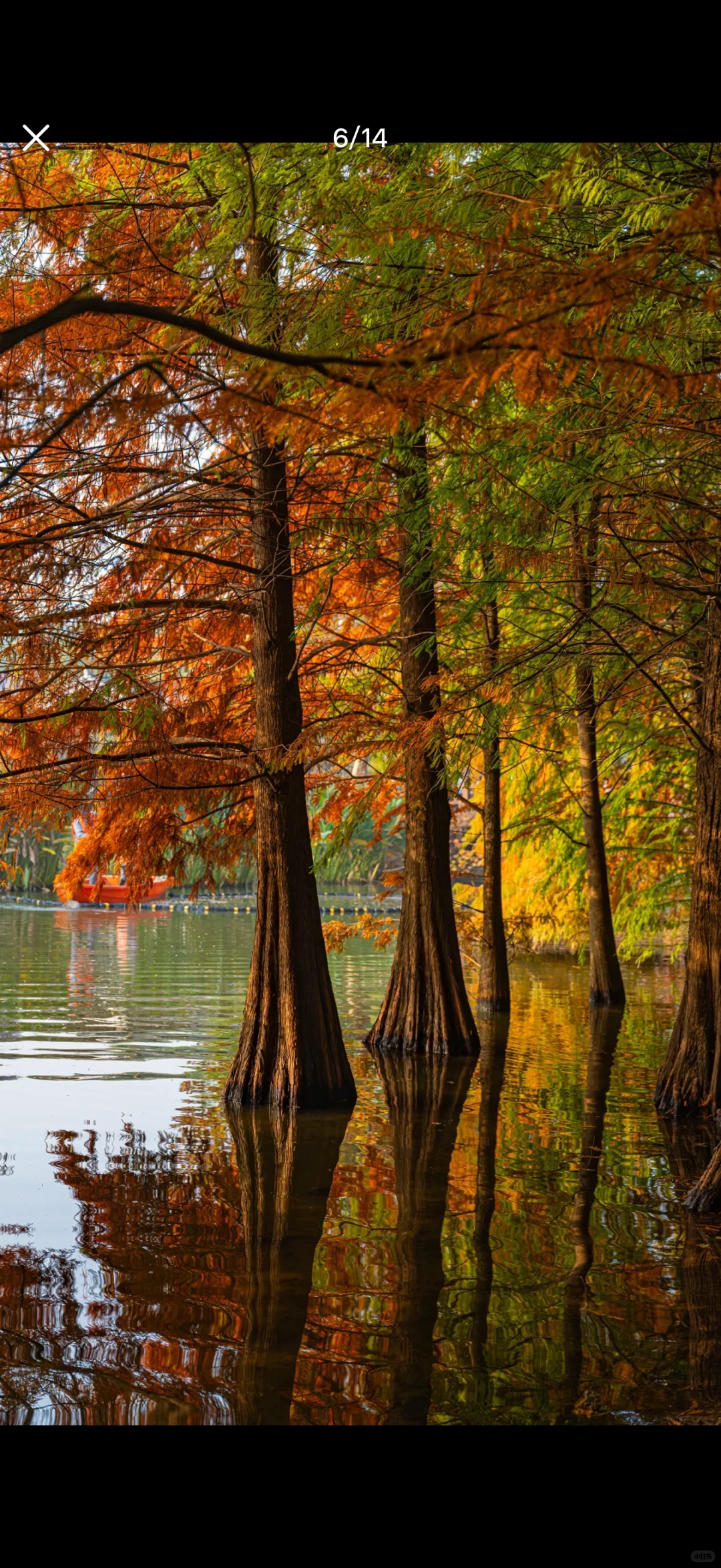 11.22实况,南京你真的没有淡季的吗?