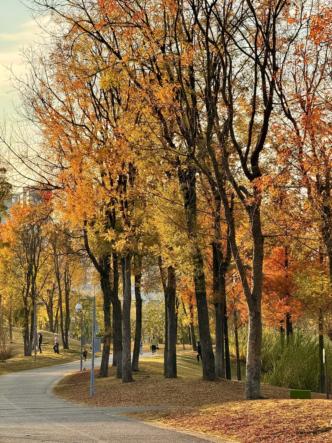 谁懂！成都这个公园有种不在国内的美！