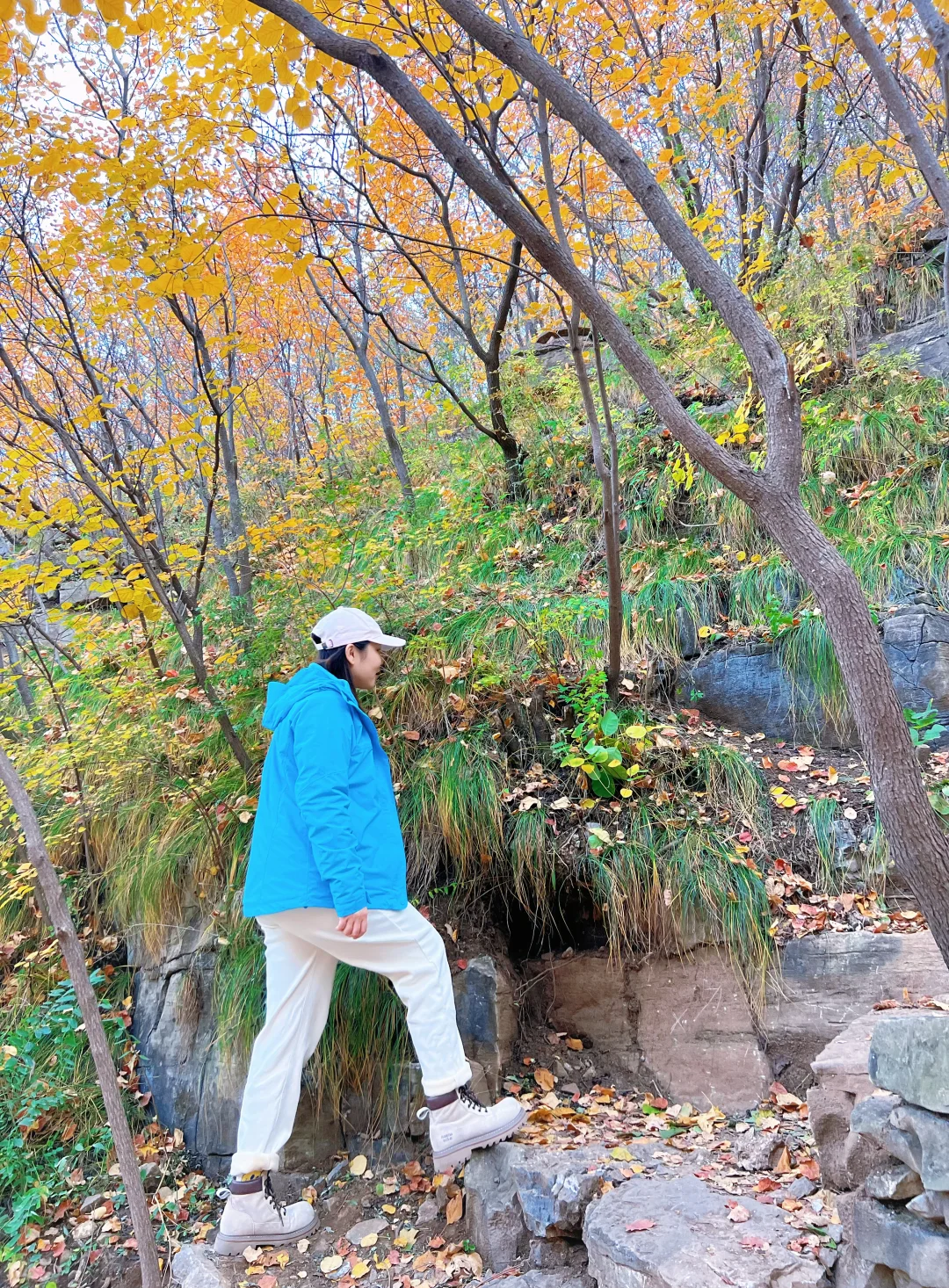 邢台沙河「佛照山」秋天免费出行第一站